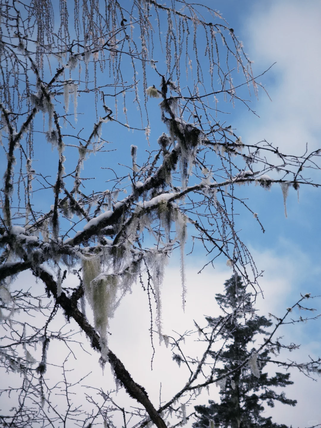 早晨的毕棚沟｜在燕子岩误入魔戒世界