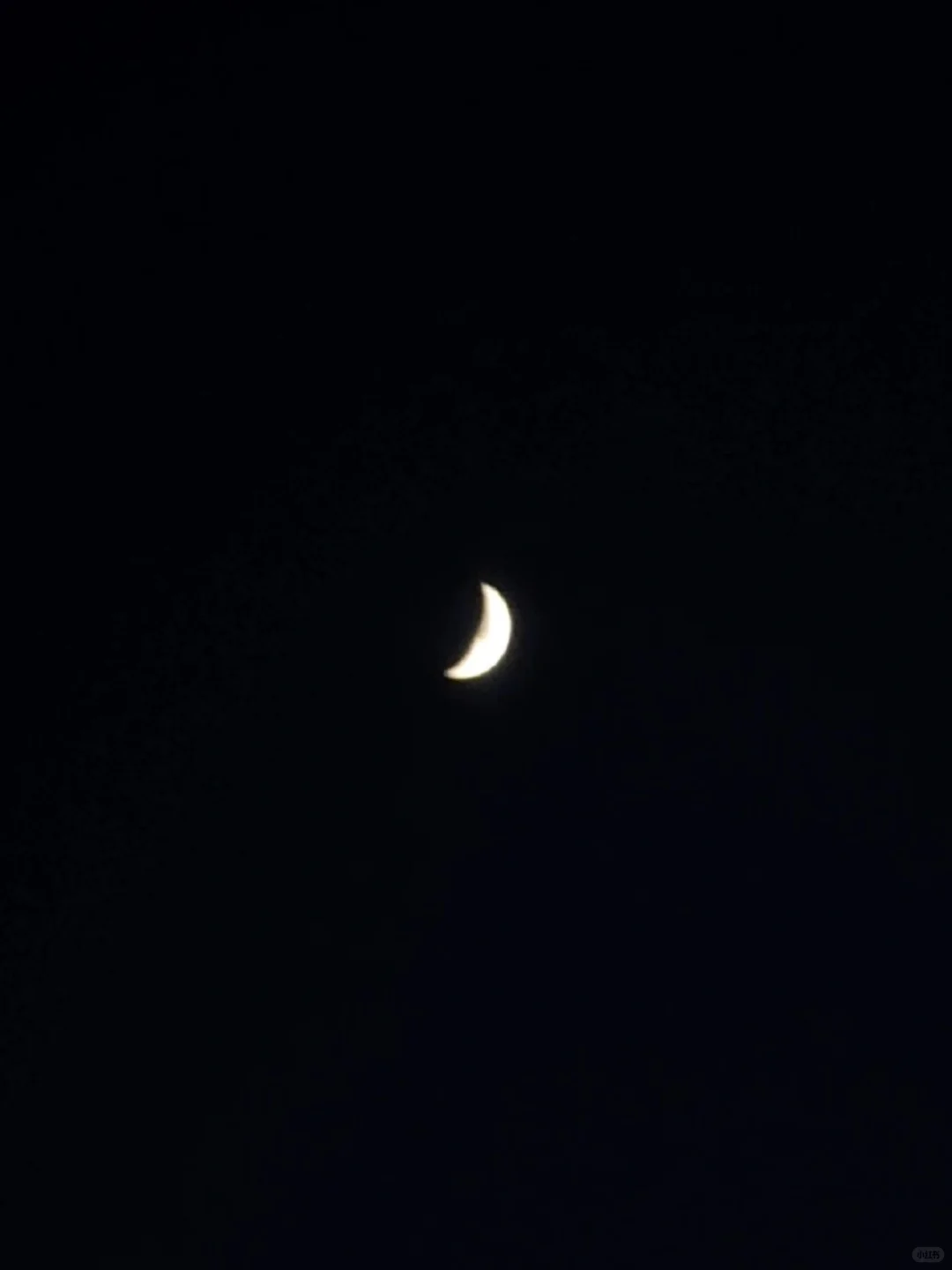 今夕有客 可赐光明