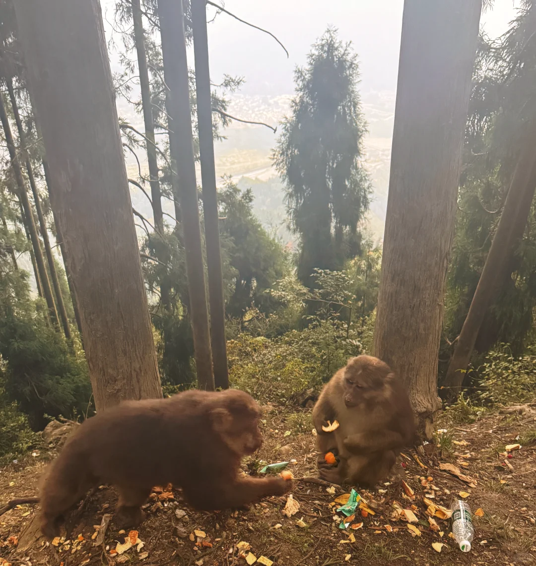 太阳湾景区避雷避雷