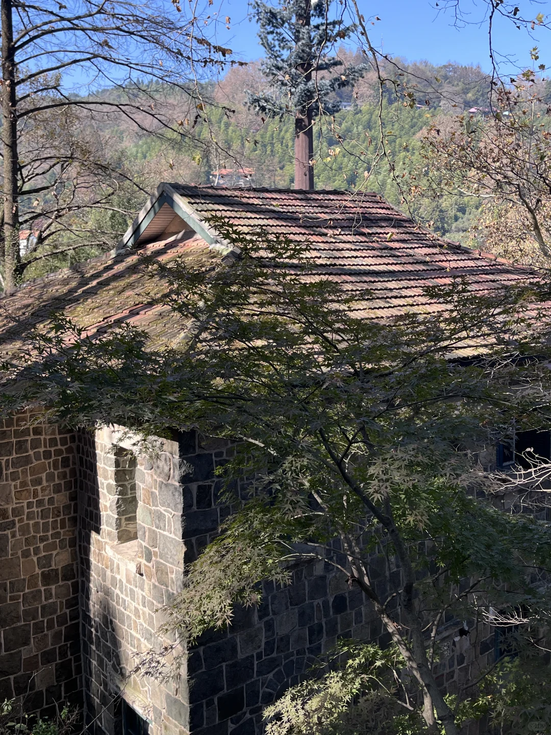 莫干山赏秋，美得太超过了！