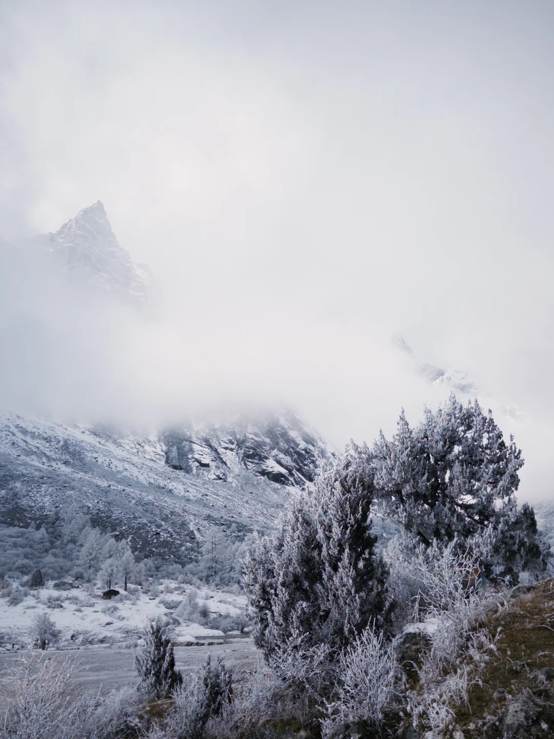 早晨的毕棚沟｜在燕子岩误入魔戒世界