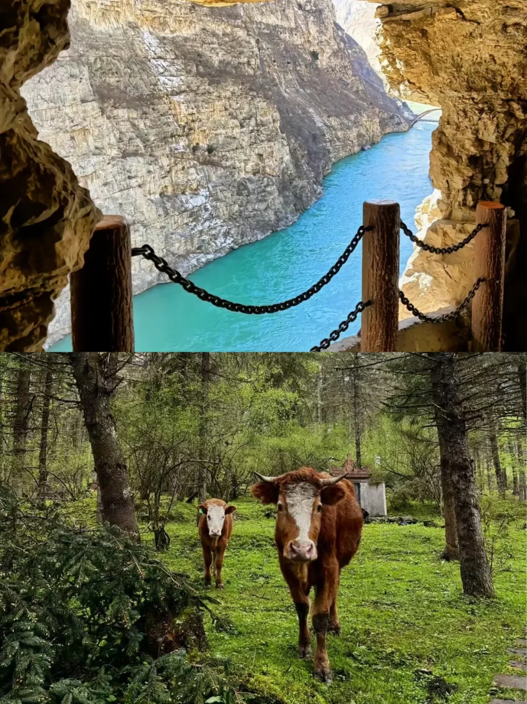 四川旅游必去清单｜各市宝藏景点大集合！