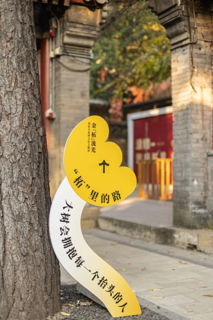 门头沟景区工作机会｜销售主播岗位