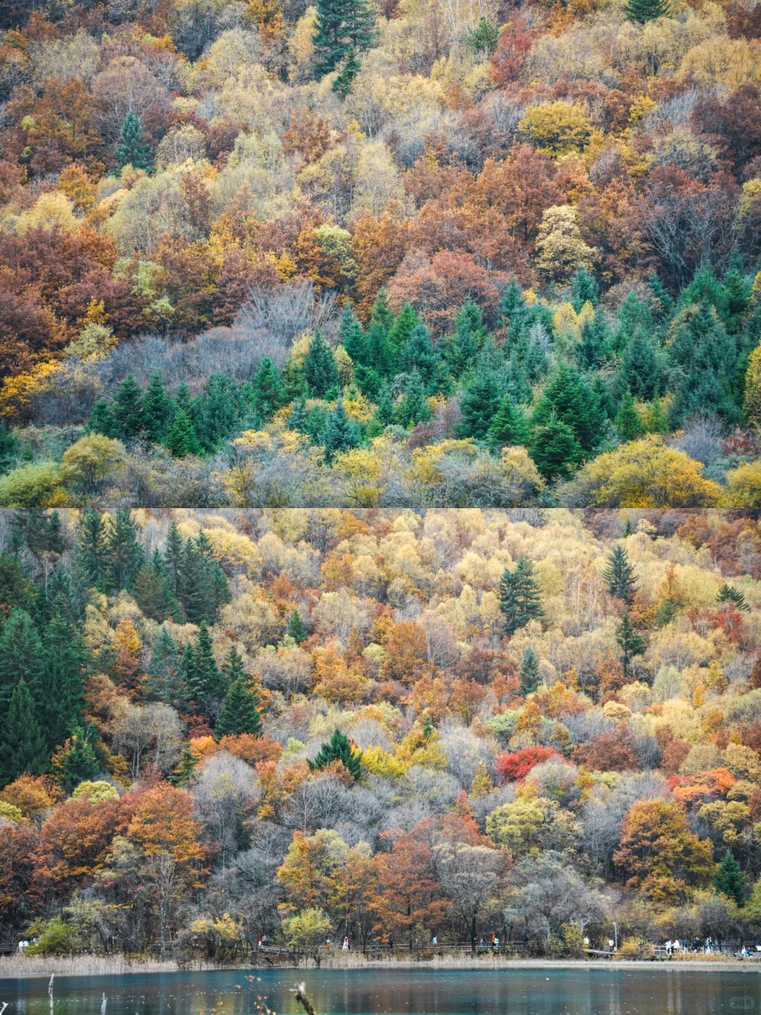 深圳-九寨沟周末不请假攻略