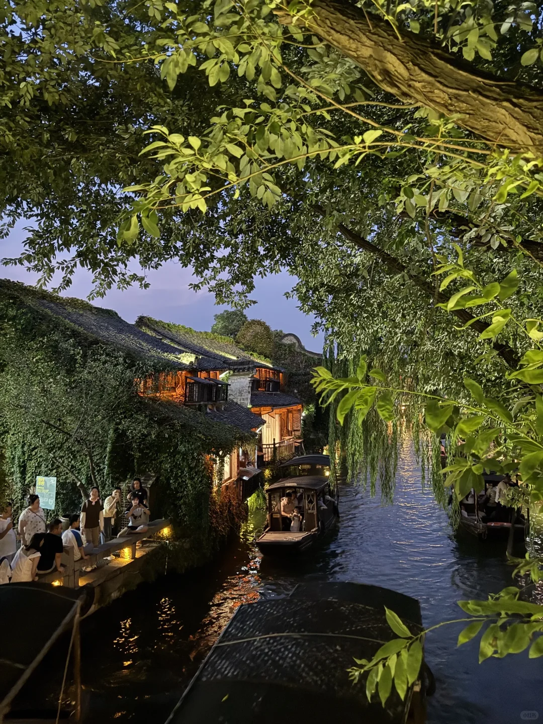 乌镇景区内！双人吃住玩船票门票555全包