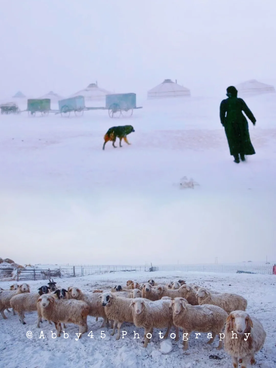 中国冷极：总要趁早趁年轻去一次