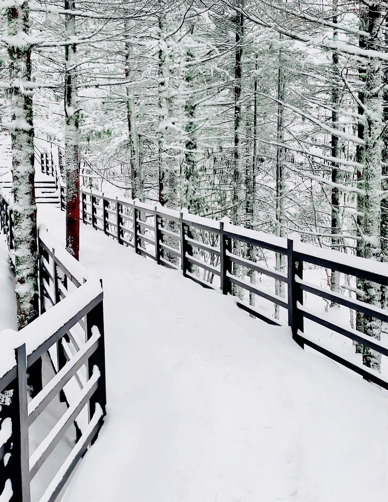 这是圣莫里茨？NO!这是祖国的昆明❄️！