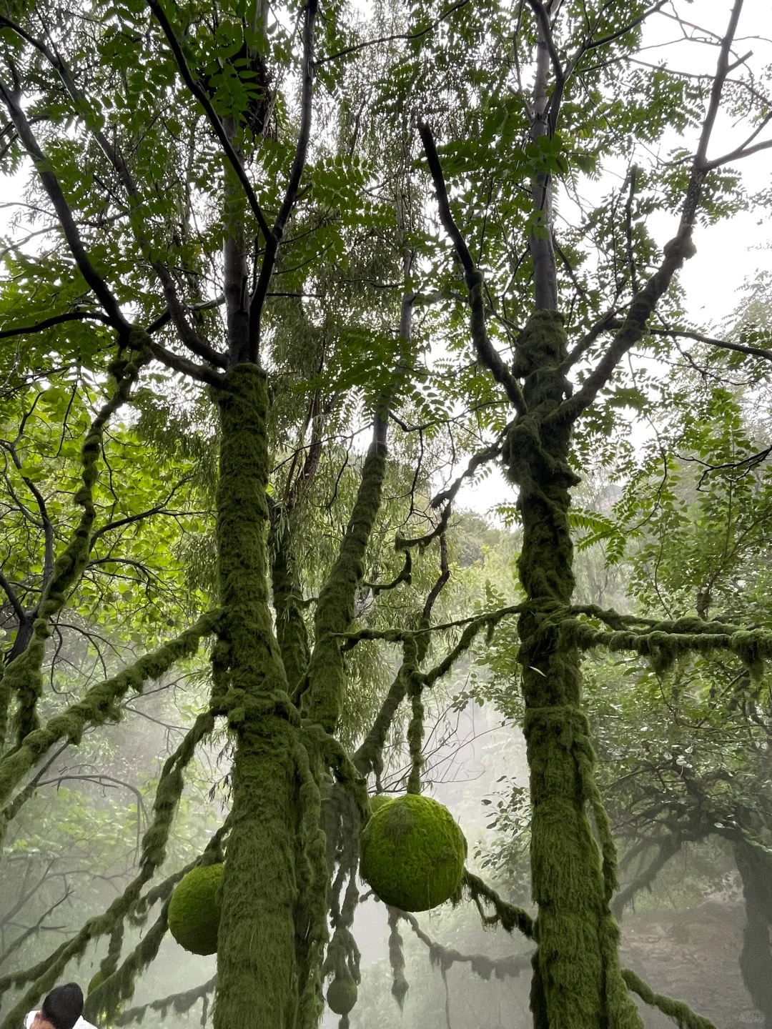 邯郸人民你们嘴真严。。。