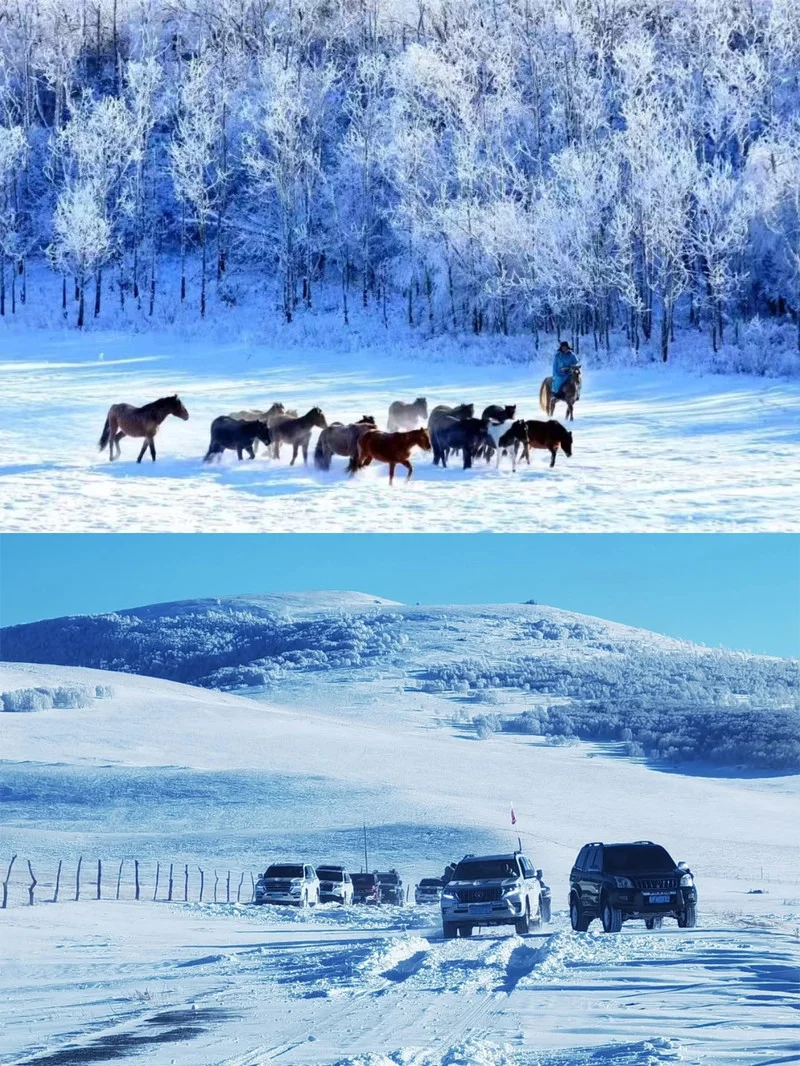锡林郭勒冬日梦幻旅游攻略