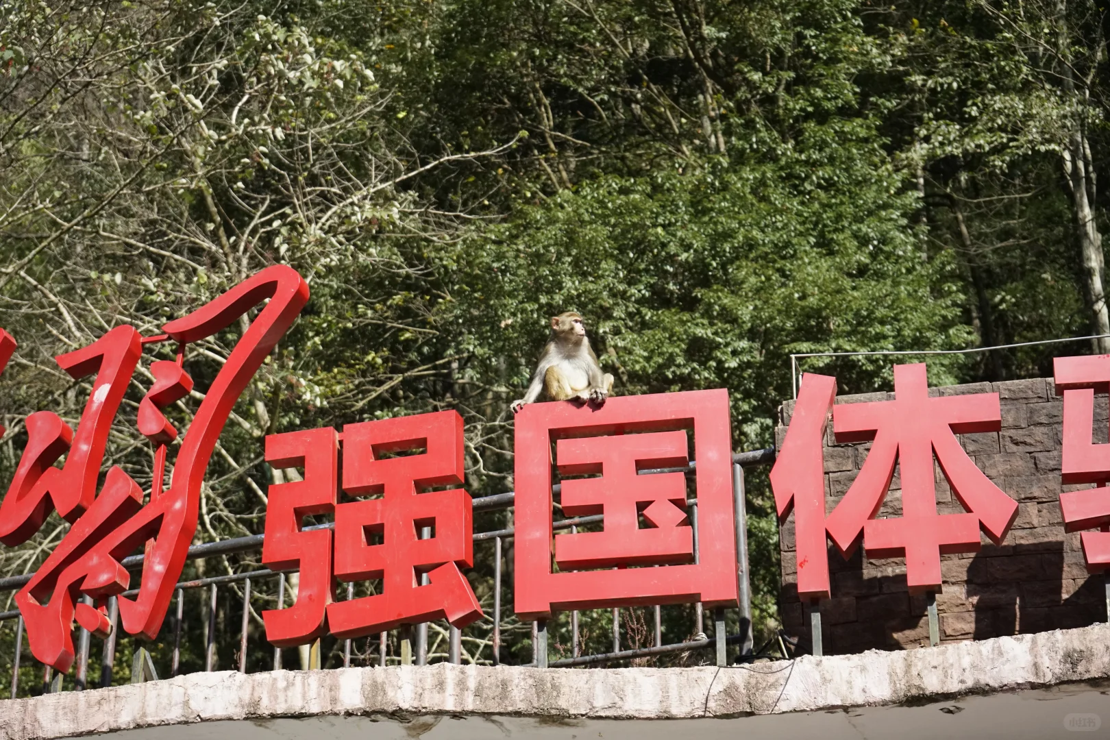 张家界攻略！避坑 + 省时