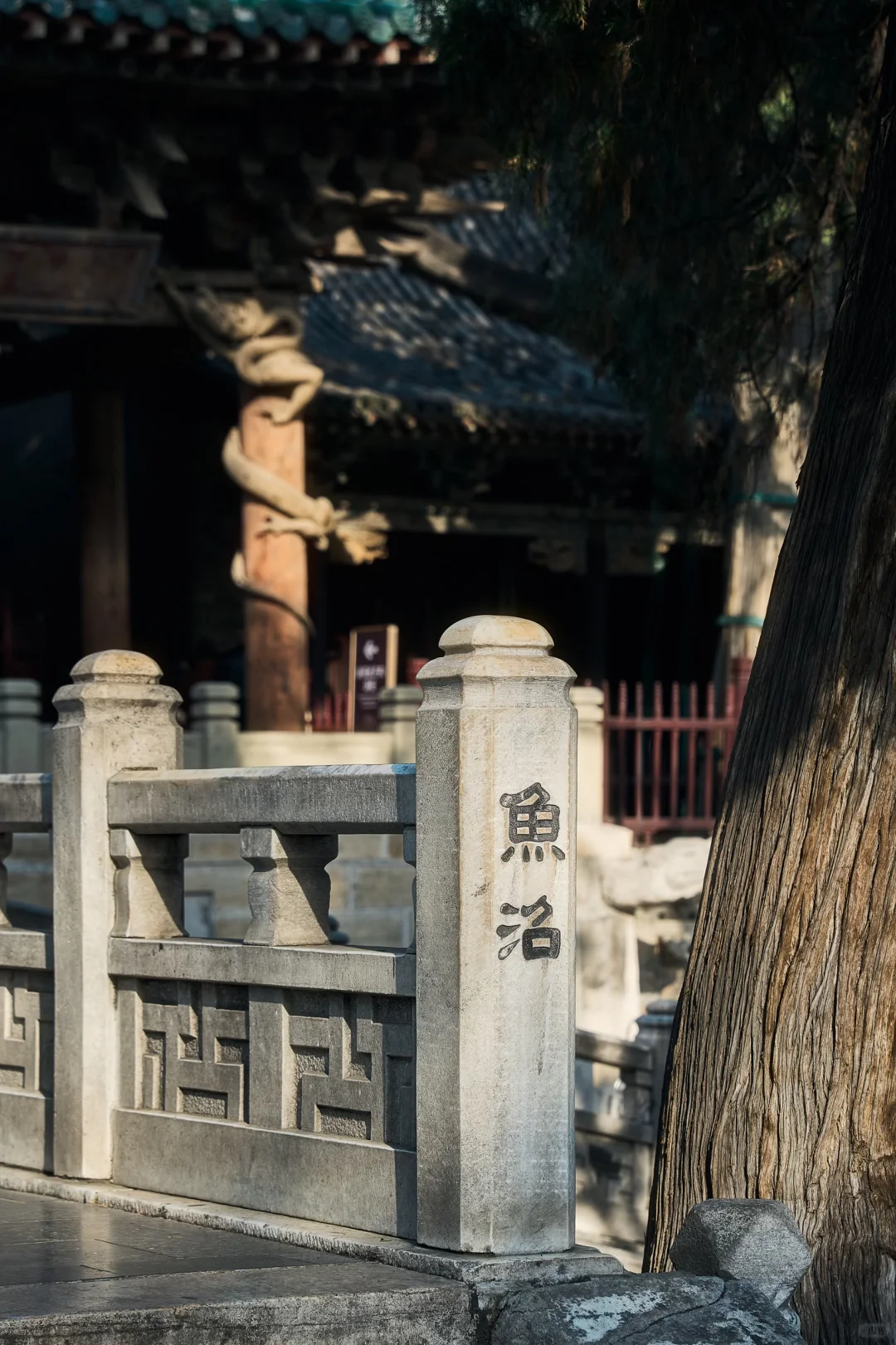 千年晋祠，一眼千年｜太原