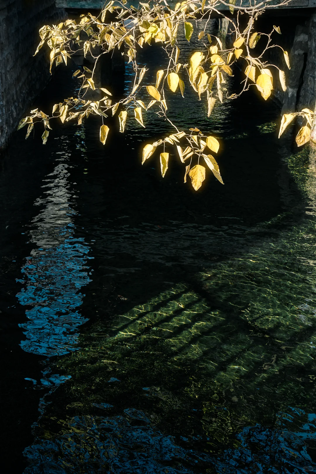 千年晋祠，一眼千年｜太原