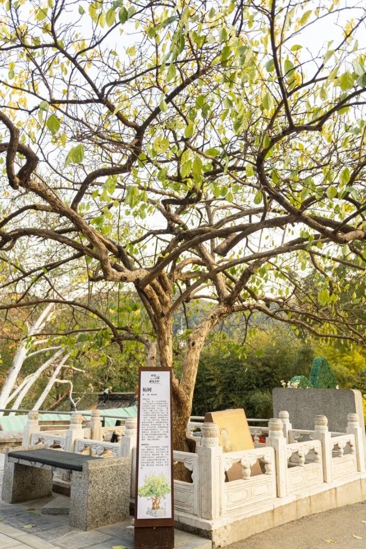 门头沟景区工作机会｜销售主播岗位