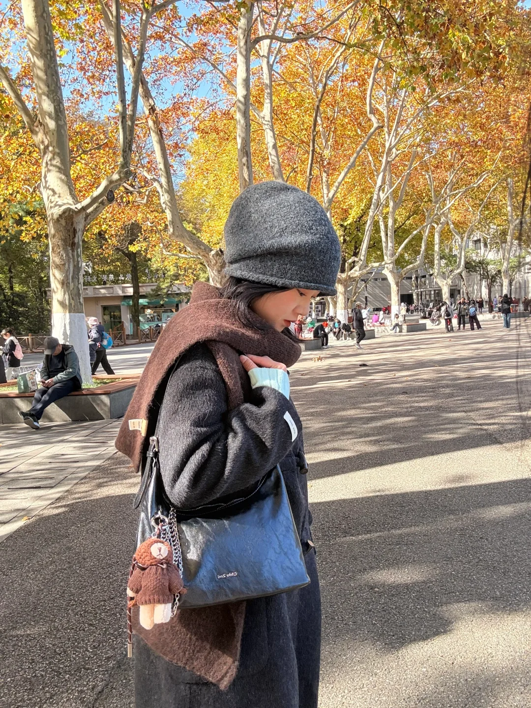 秋天可太好拍啦！🍂