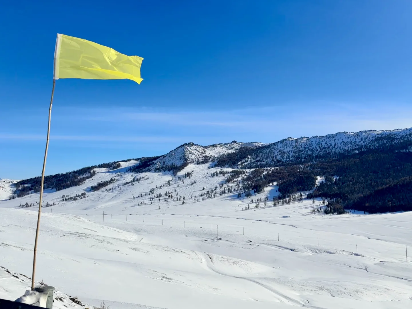 来禾木包车还是拼车！急急急