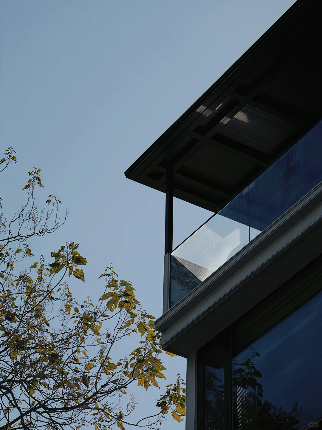 在初秋的安吉泡到人生竹海私汤民宿