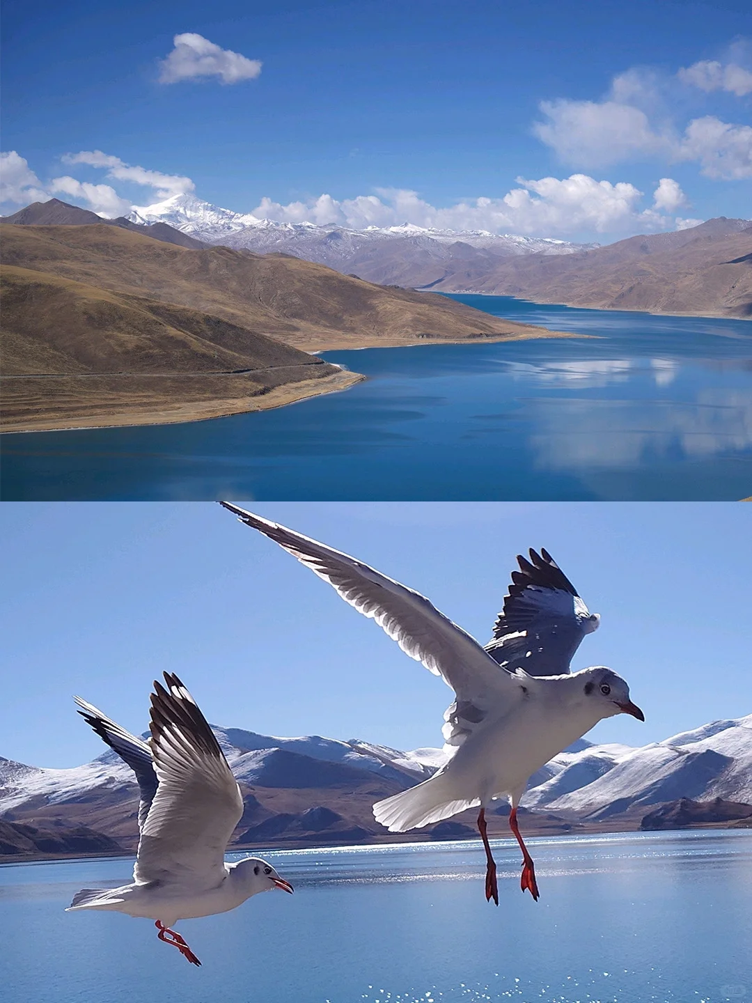 初到西藏怎么玩❓6天5晚超绝体验行程请收好
