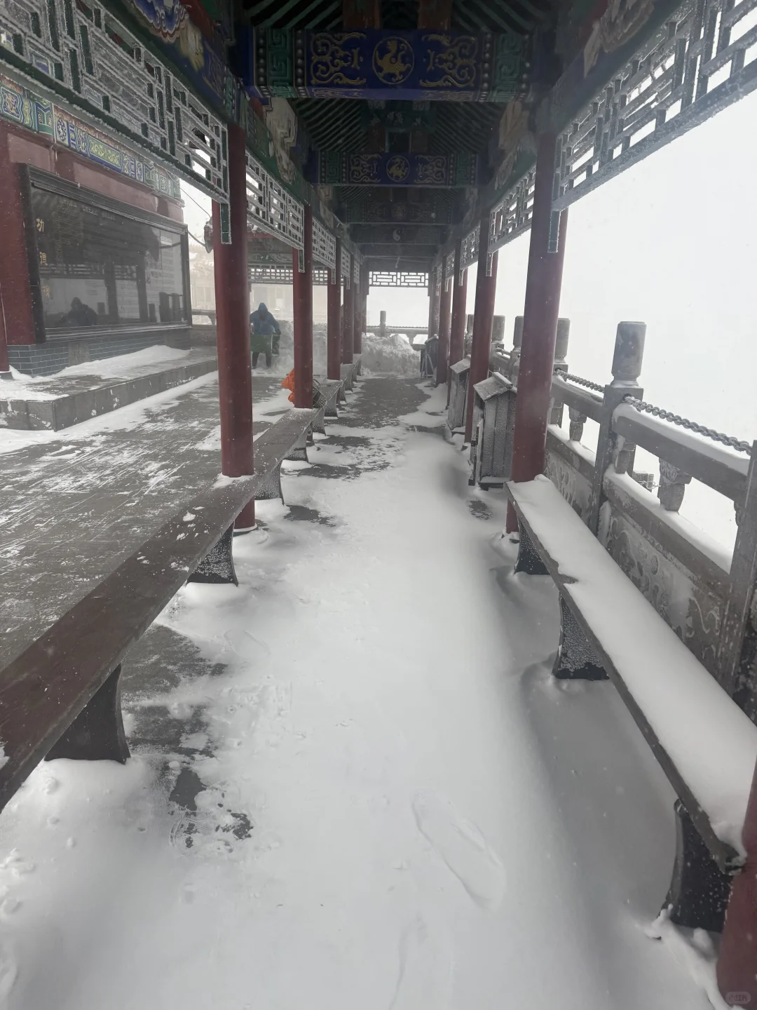 11.18老君山已回😂说点难听的大实话