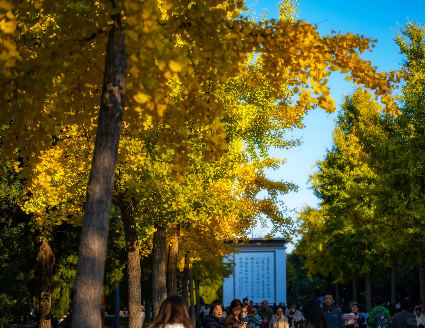 邯郸丛台公园秋景掠影