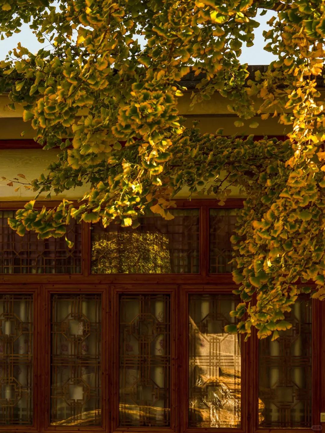 云南旅游｜腾冲旅游攻略来啦✅保姆级攻略❗