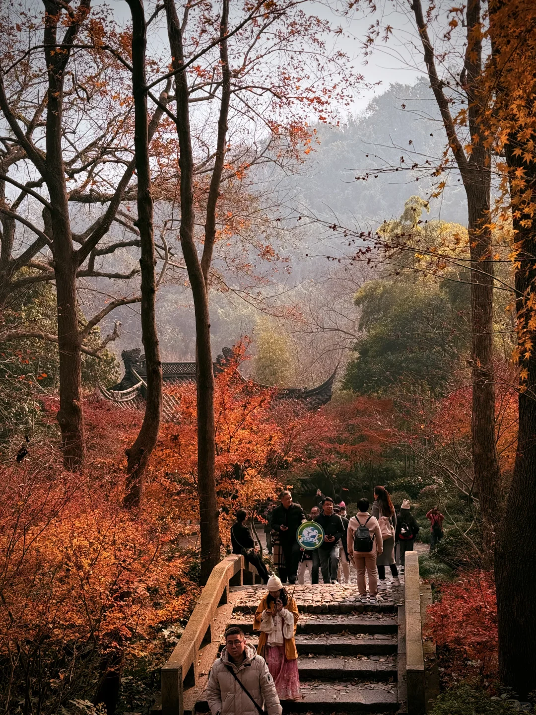 杭州永福寺的红叶应该是日本京都的平替了～