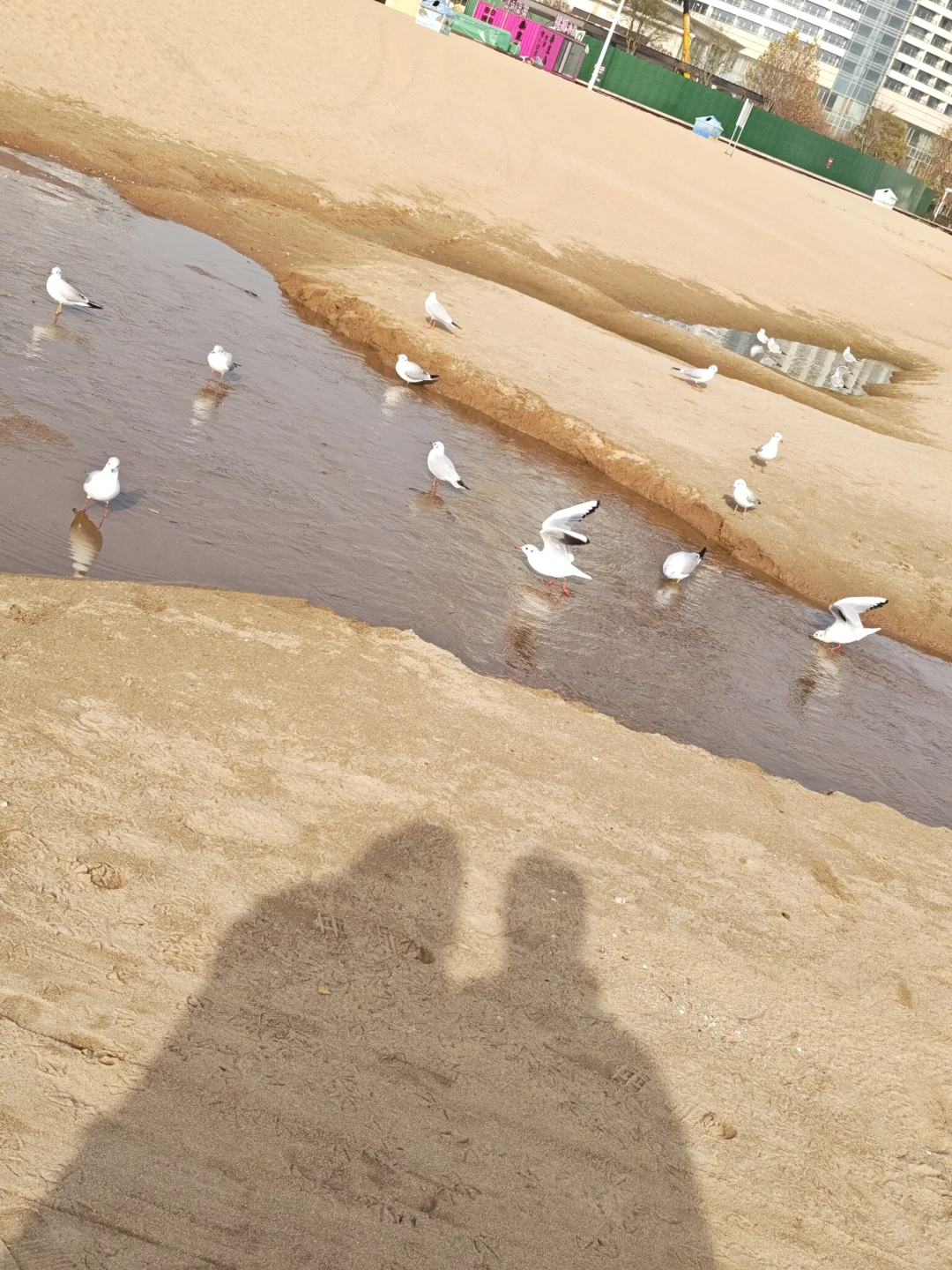 人生重启计划打卡 | 第 201 天