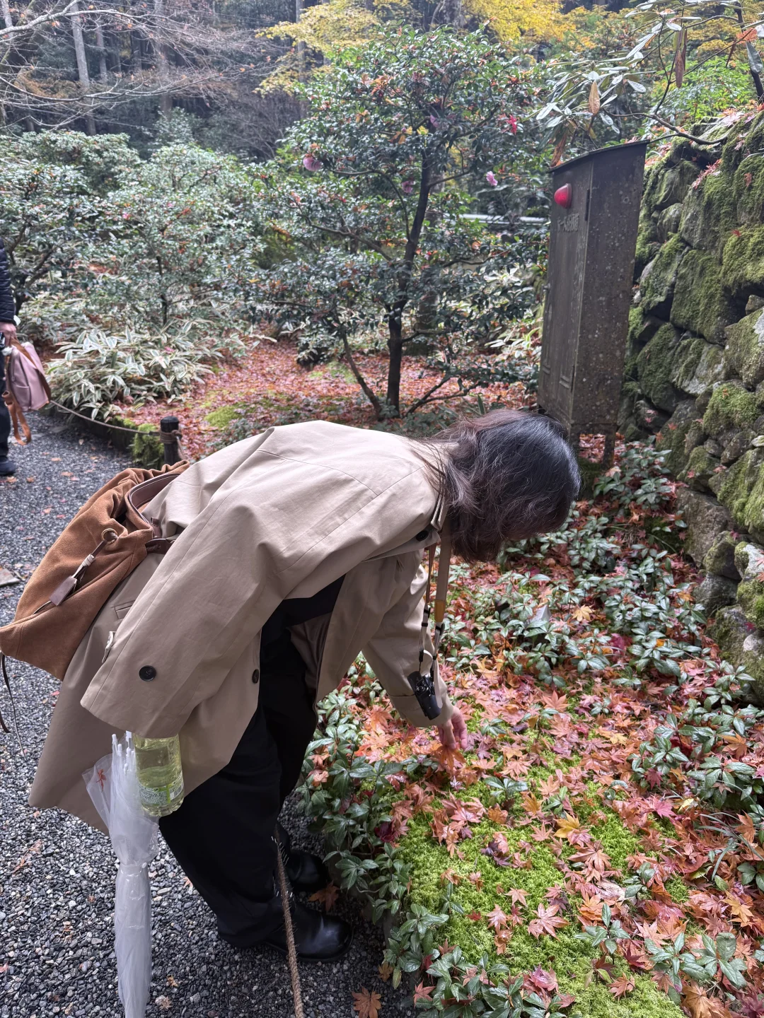 京都的美无法复刻