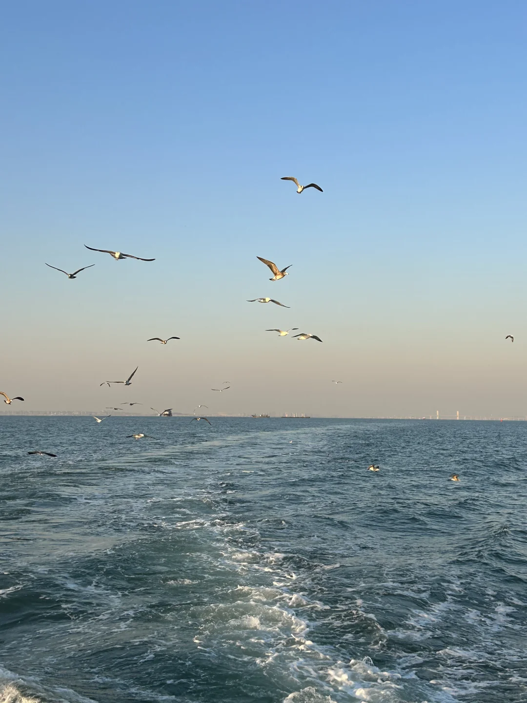 看了50+攻略！总结出的青岛4天3晚旅游计划