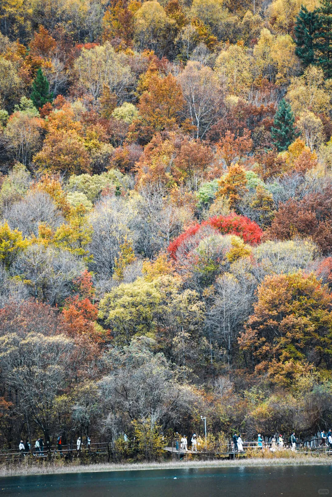 深圳-九寨沟周末不请假攻略