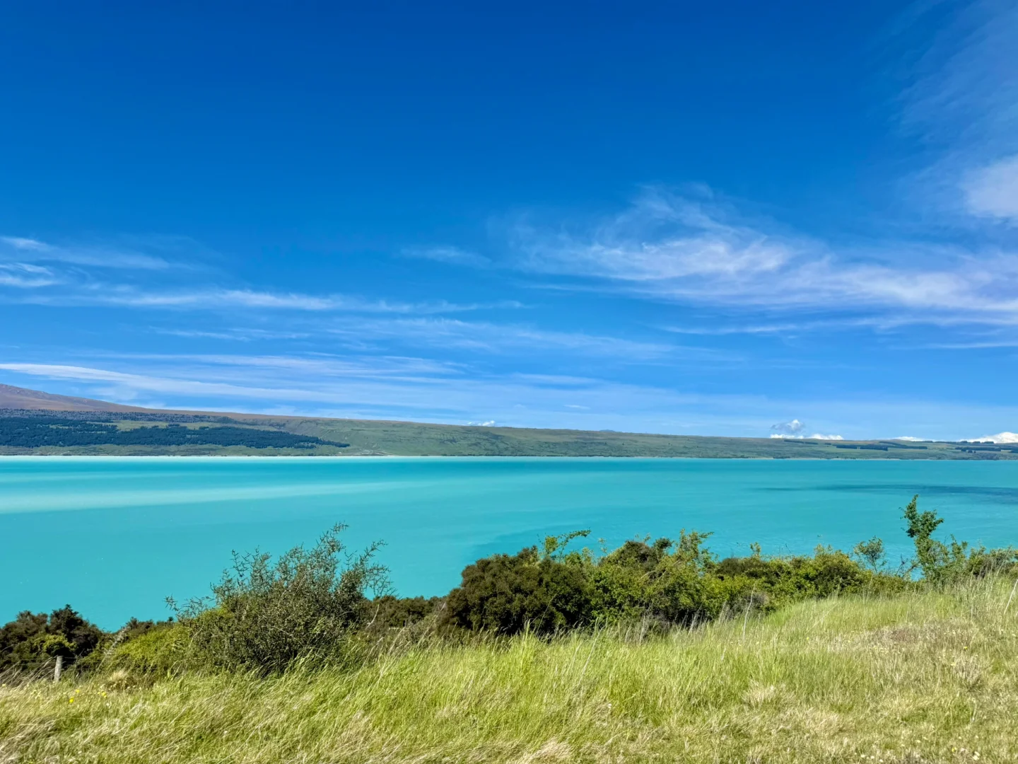 国人对新西兰的开发只有1%🇳🇿附攻略