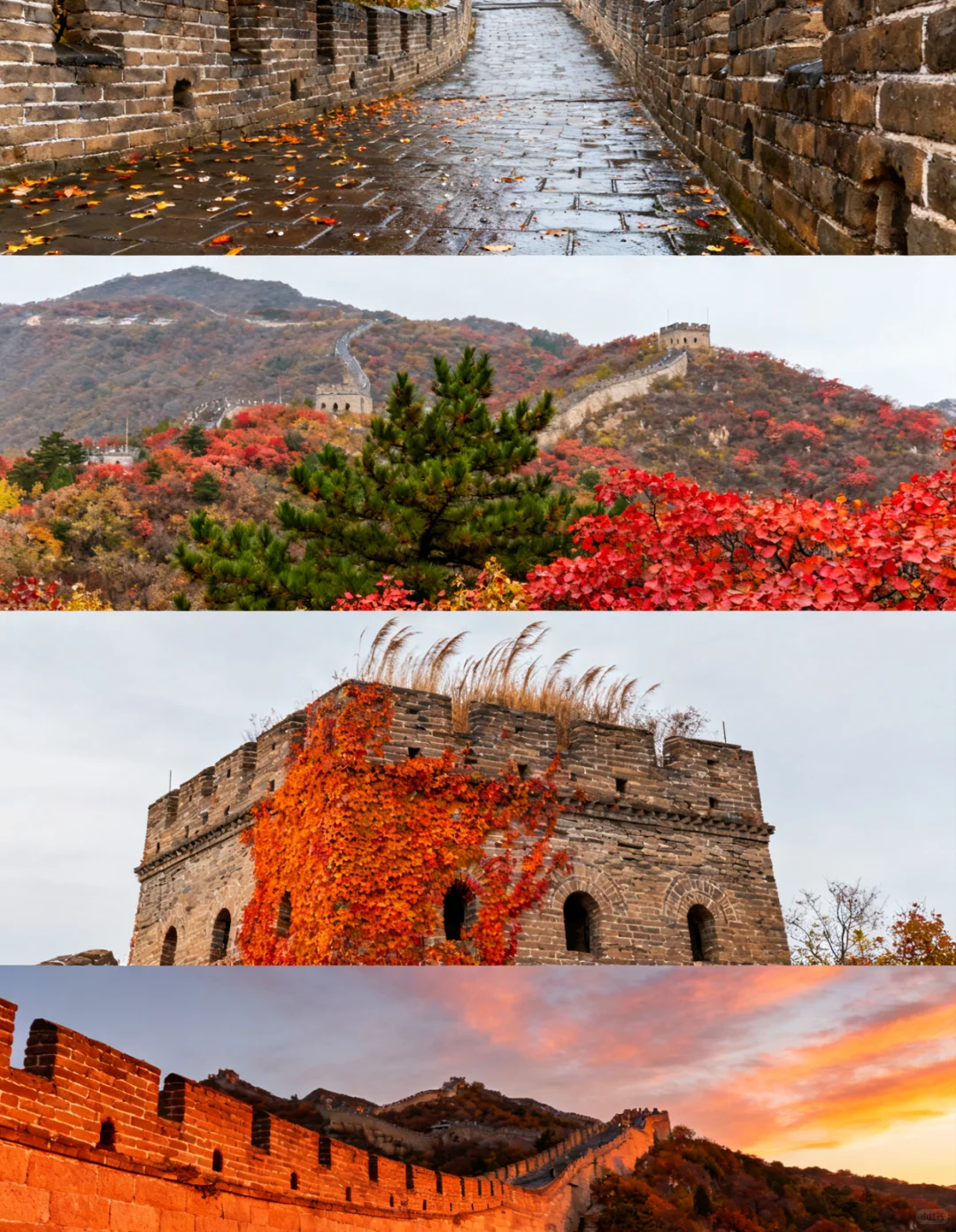 💫北京旅游隐藏款！4天3晚专属团太可了！