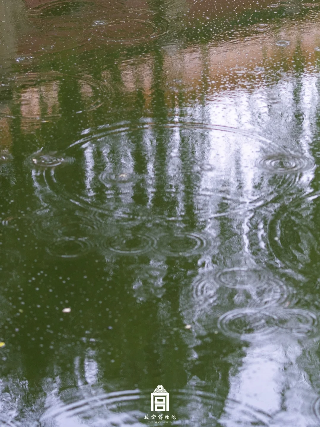 雨落紫禁城｜这趟慢走的雨意太治愈