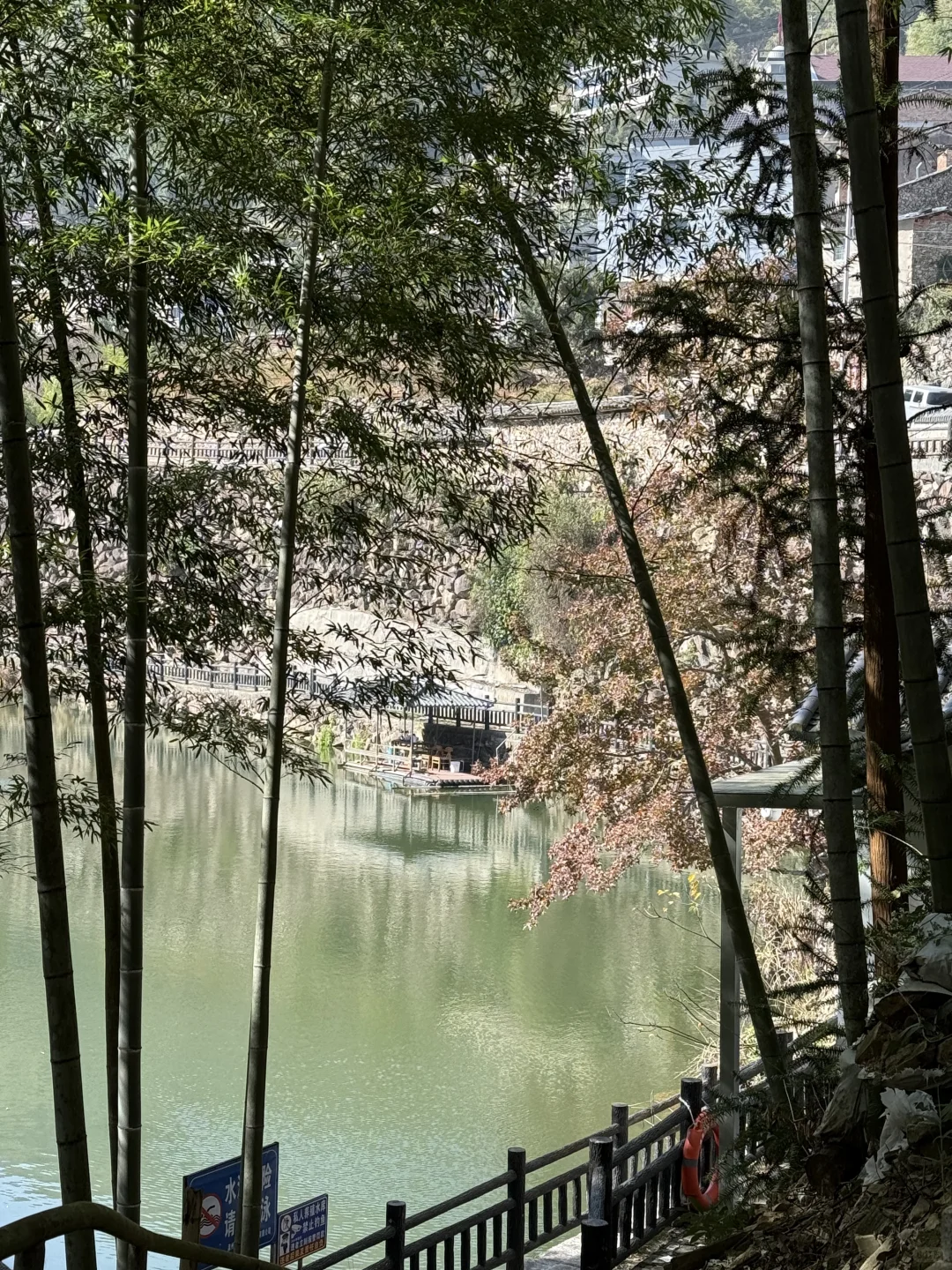 风声，鸟叫声和流水声，倾听大自然的声音