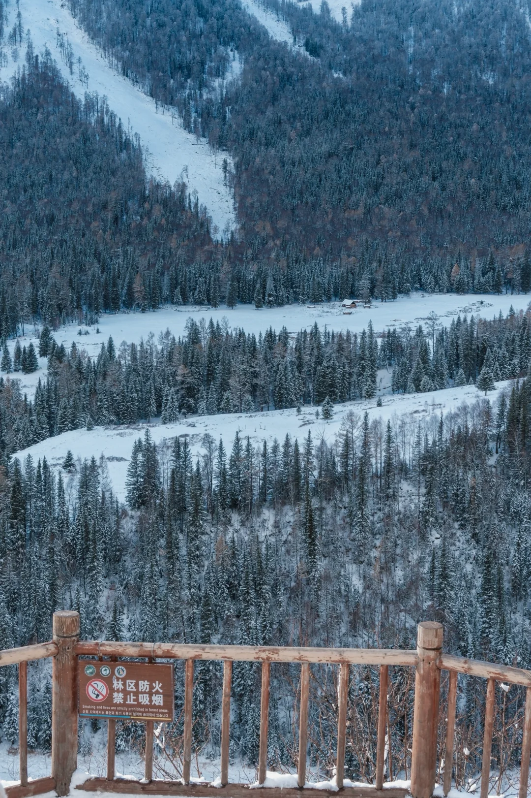 阿勒泰我来啦😜