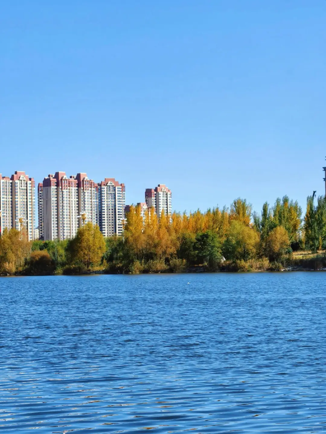 乌兰察布📍这个金色小城美到失语🍂