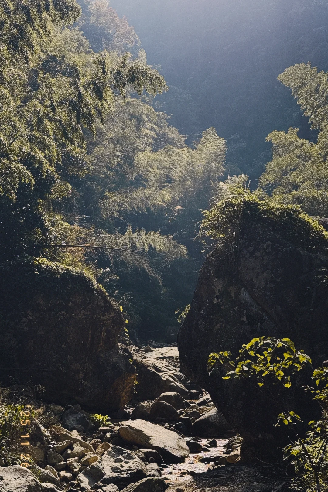 风声，鸟叫声和流水声，倾听大自然的声音