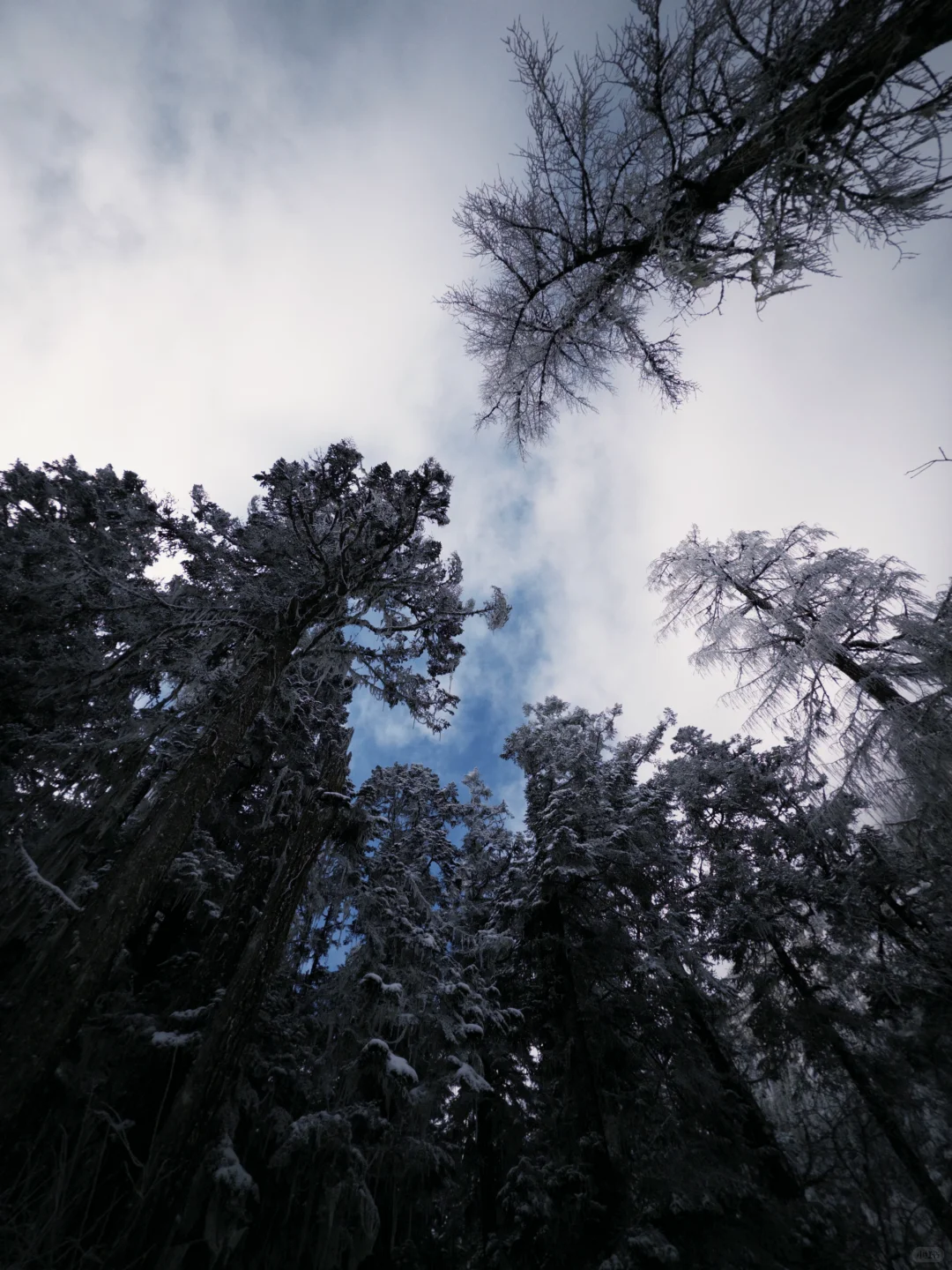 早晨的毕棚沟｜在燕子岩误入魔戒世界