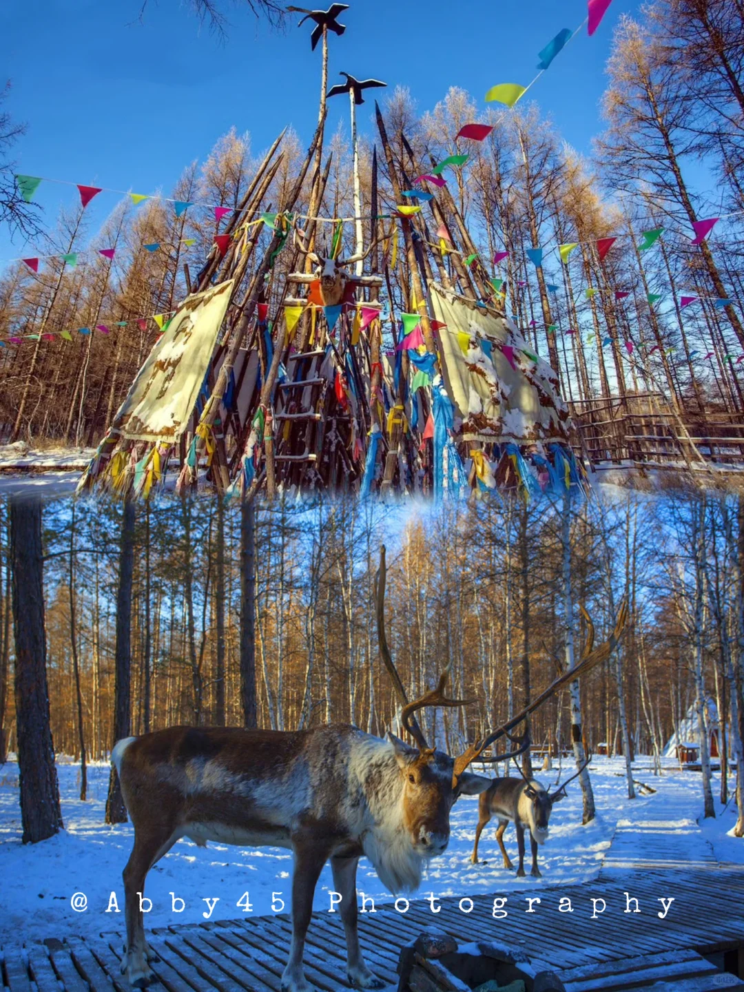 中国冷极：总要趁早趁年轻去一次