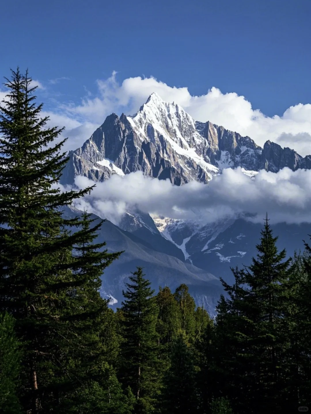 玉龙雪山一日游有票💰300➕一价全包