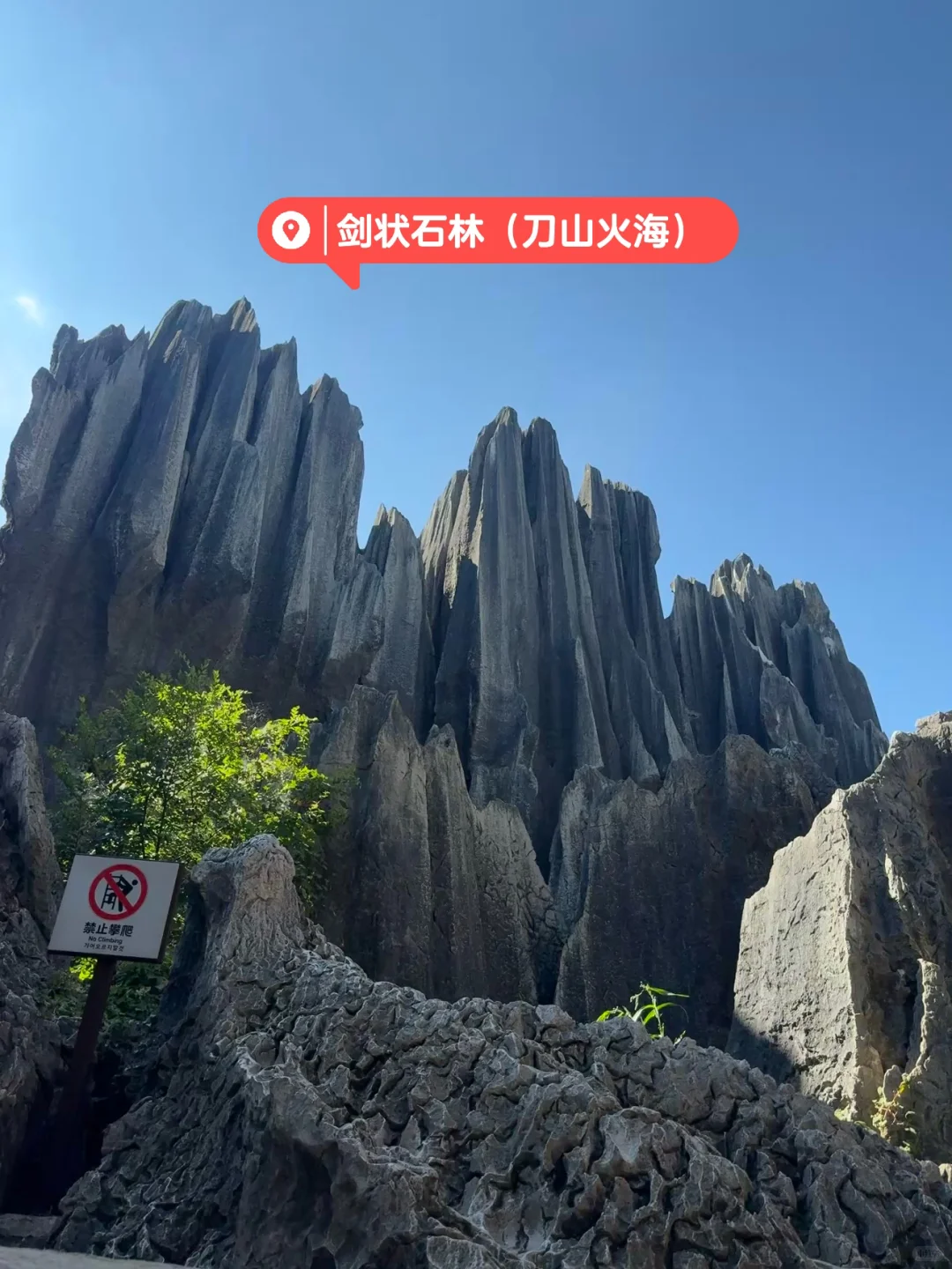 昆明|石林📍 钻进亿年石头缝里探险也太酷了