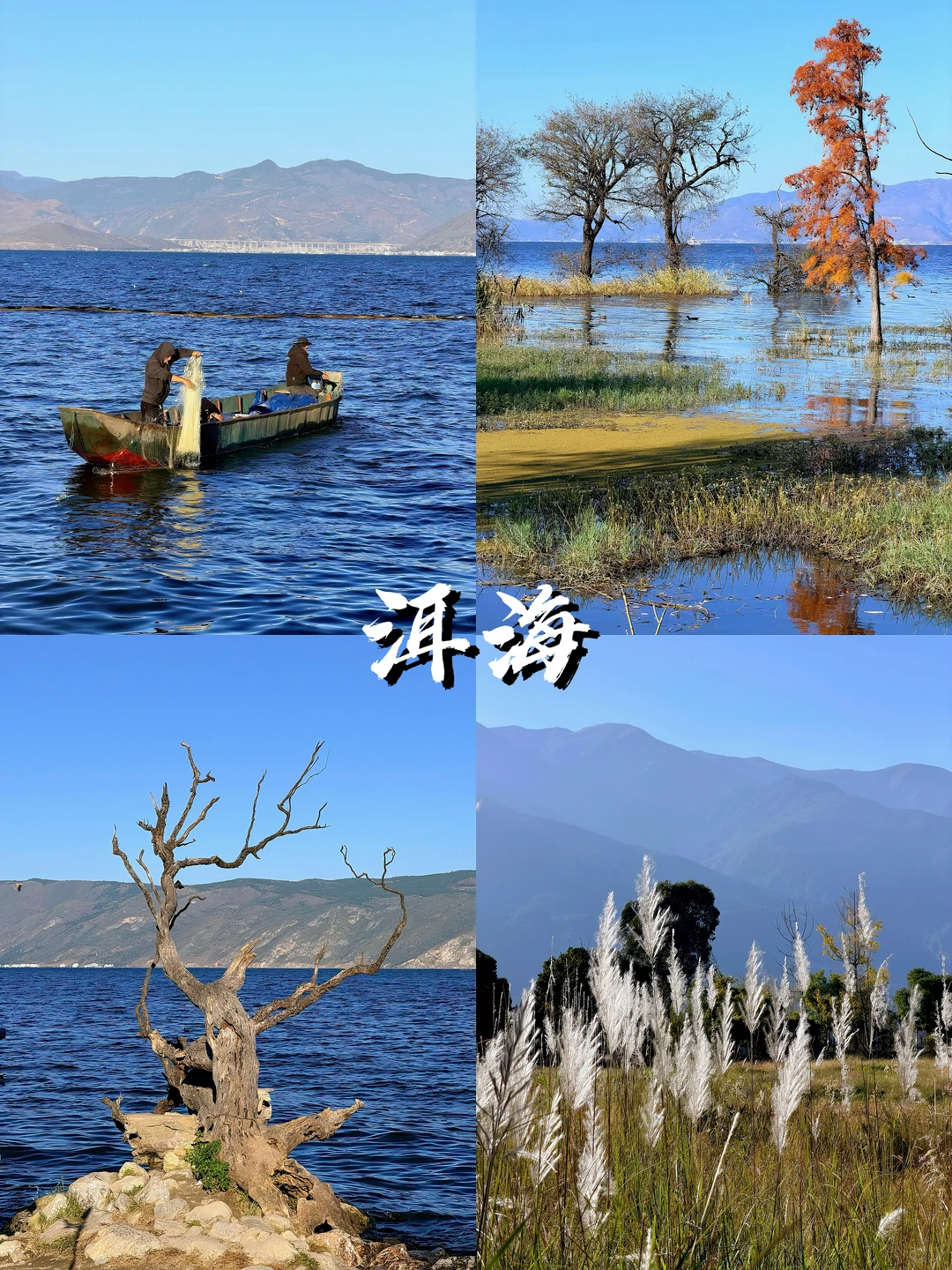 昆大丽必玩景点推荐，闭眼冲不踩雷！！🤬