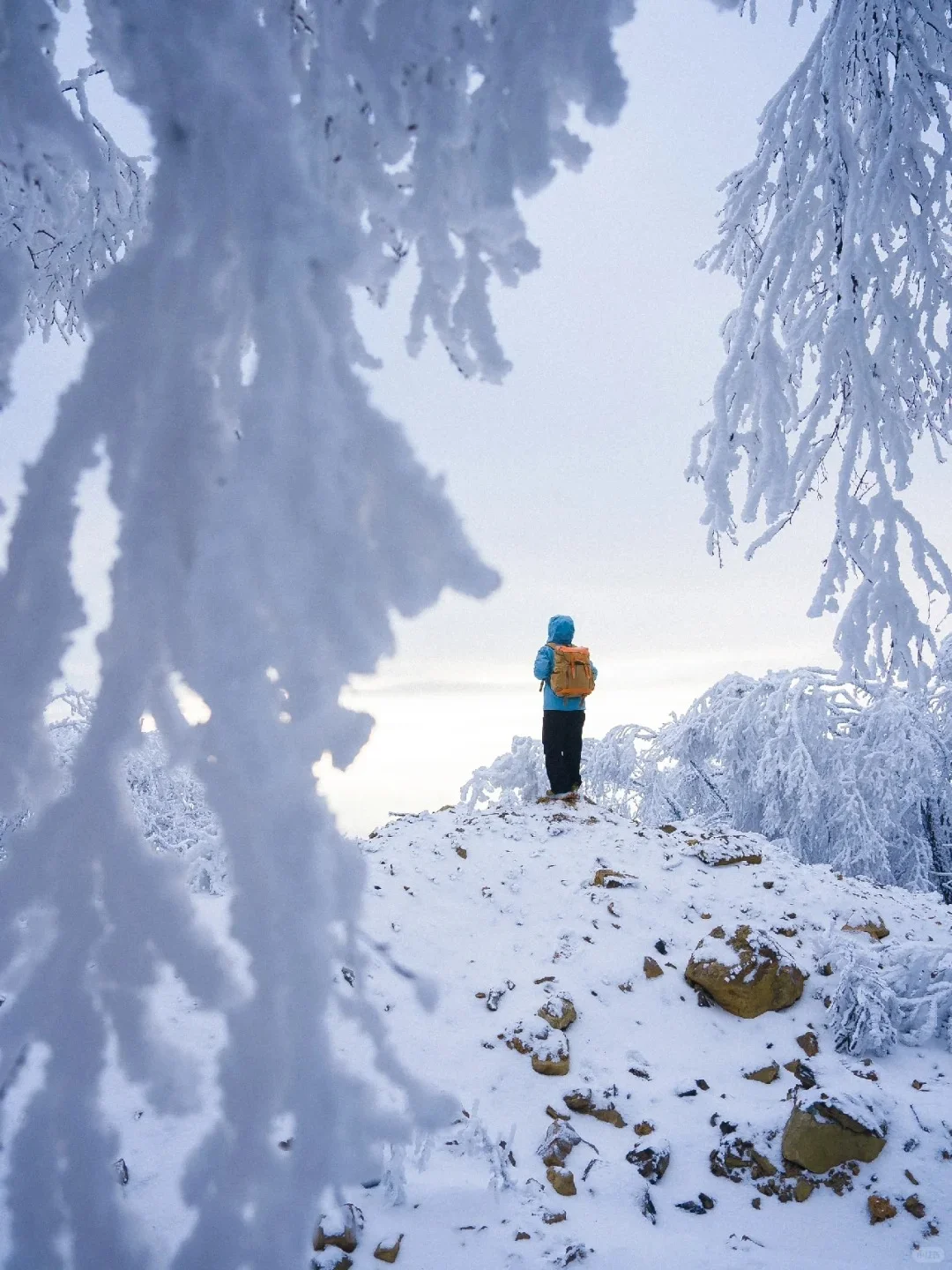 王岗坪📍99%人不知道的川西玩雪秘境