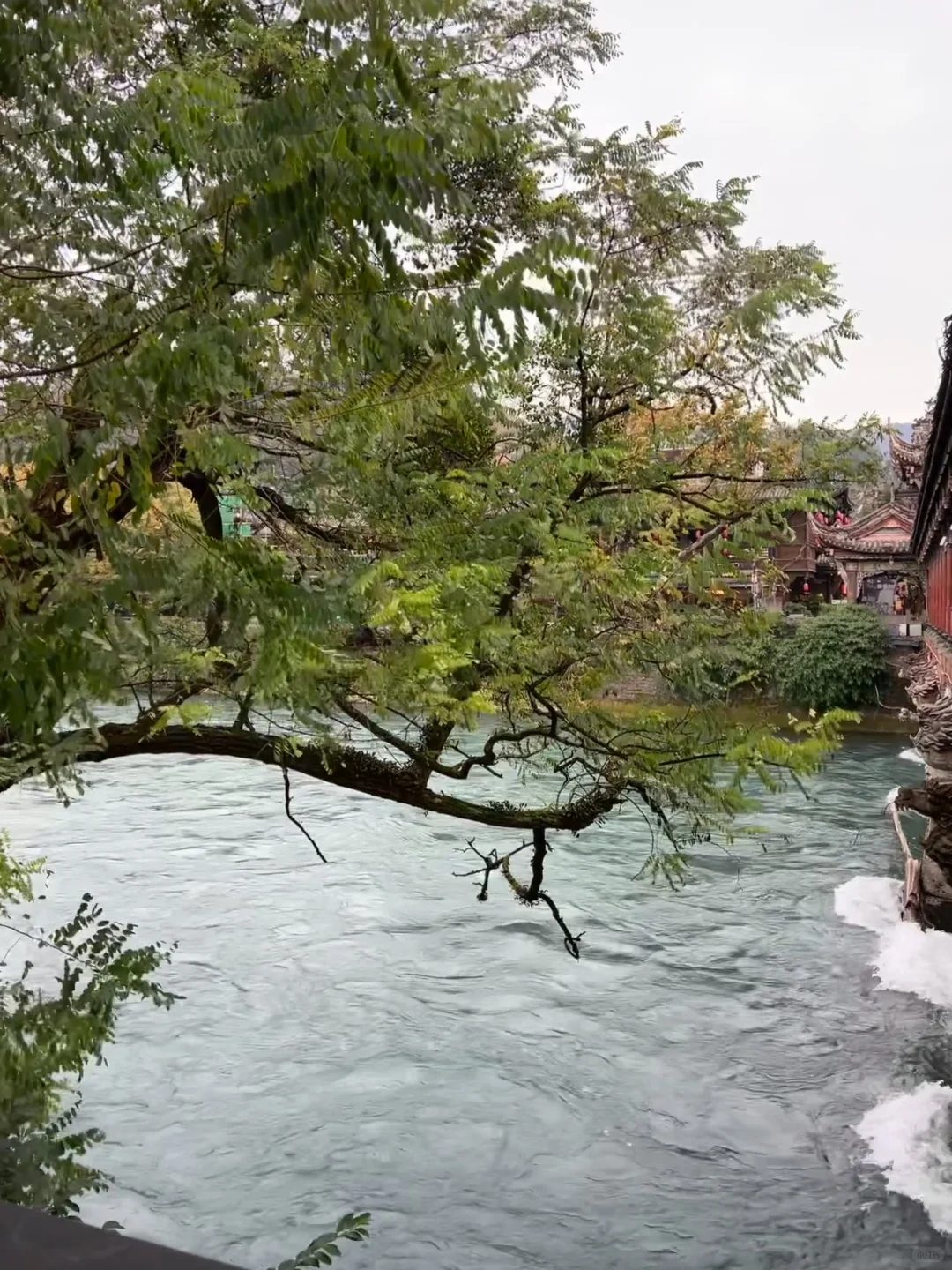 成都包车党狂喜❗️三星堆+都江堰1日游