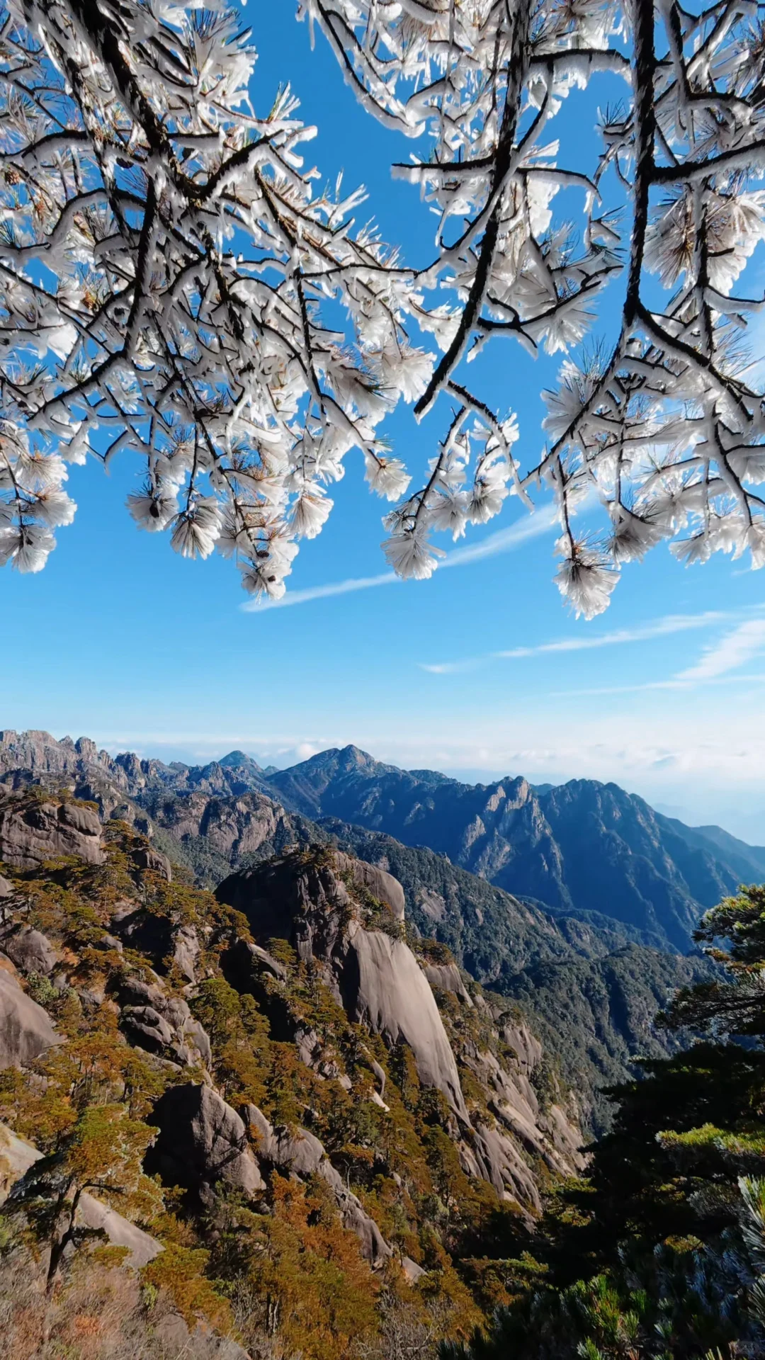 黄山之行｜感觉自己是天生的旅游圣体✨