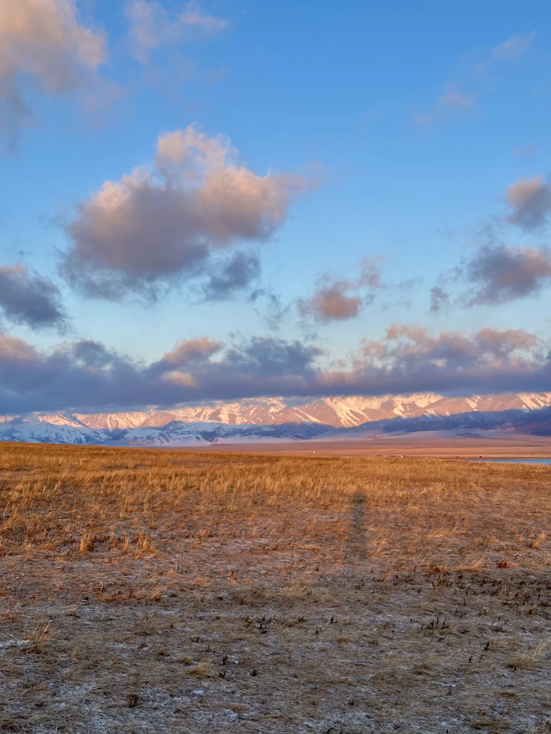 天津大学生周末不请假两天极限往返赛里木湖