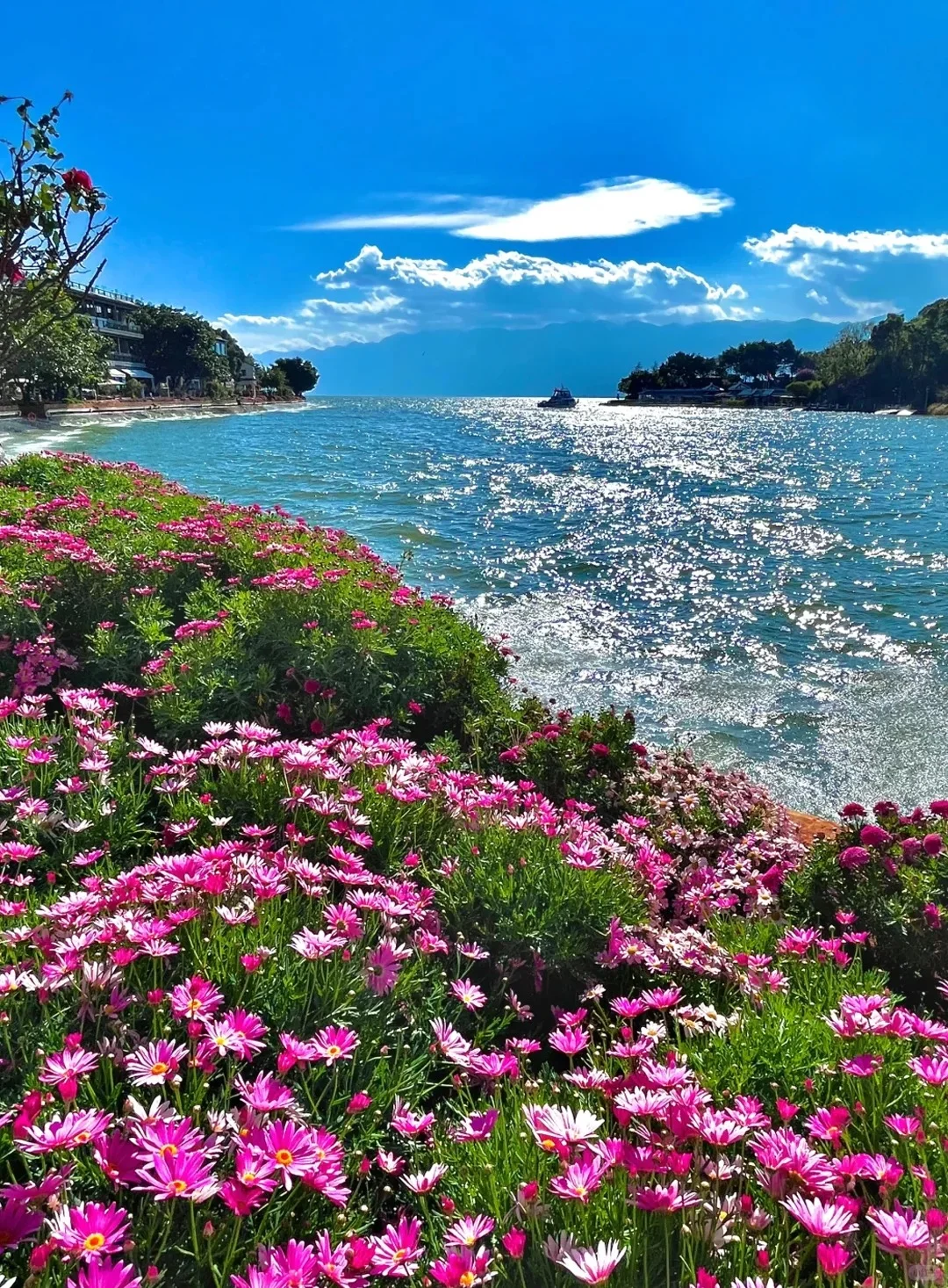 大理38元玩法攻略｜本地人看了都夸我会玩