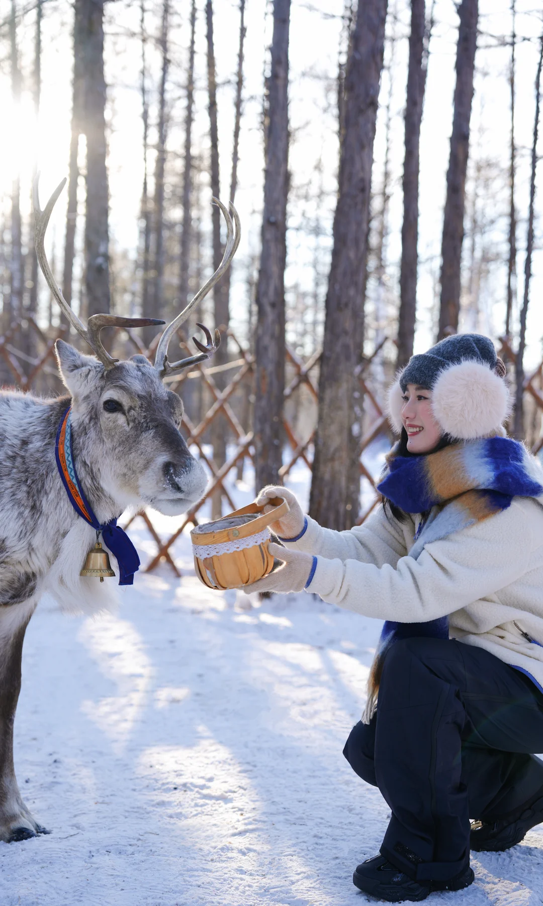 去啥国外！冬天内蒙才真封神❄️童话照进现实