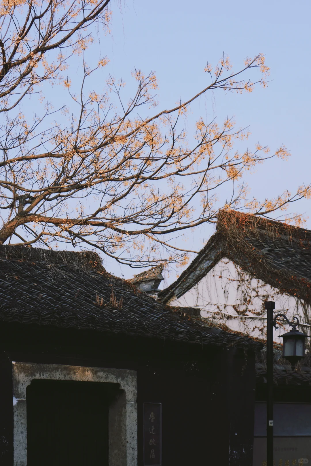 绍兴🍂一个人的冬天旅行