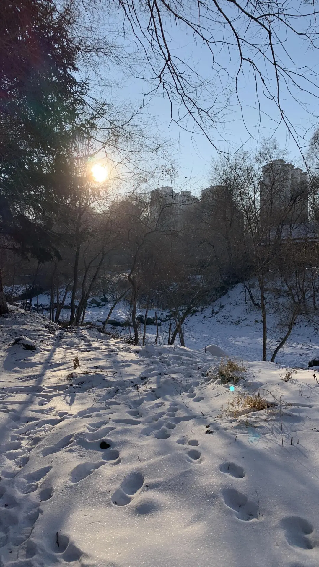 听劝 长白山雾凇漂流现状……