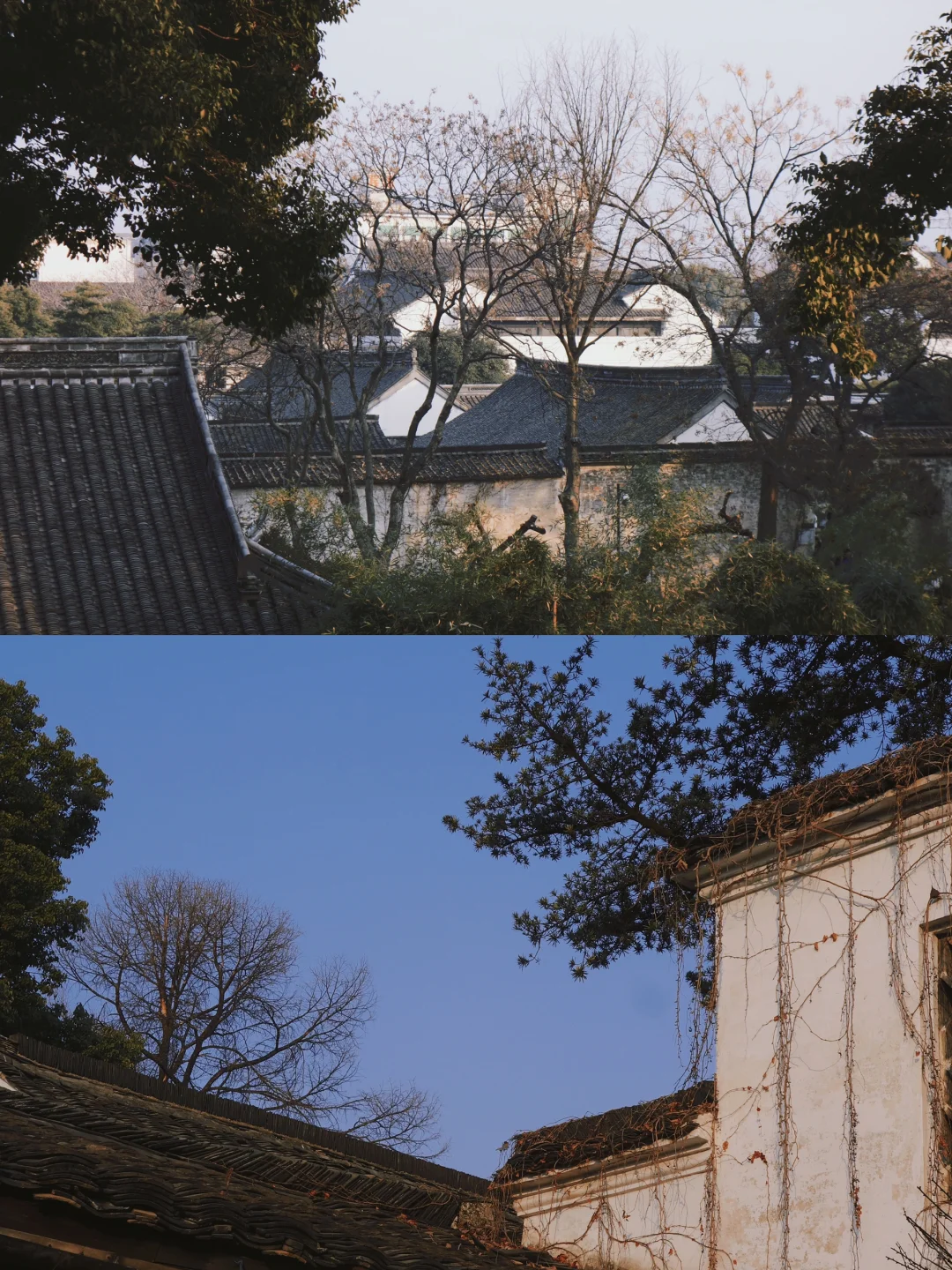 绍兴🍂一个人的冬天旅行